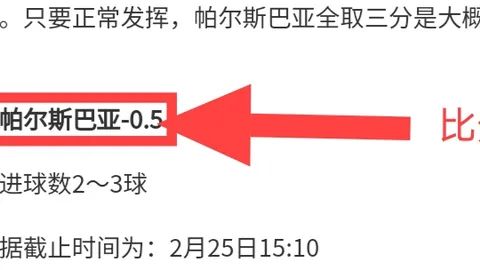 歐洲杯三冠王什琴斯尼首戰陷紅牌、傷病與犯錯多重困局